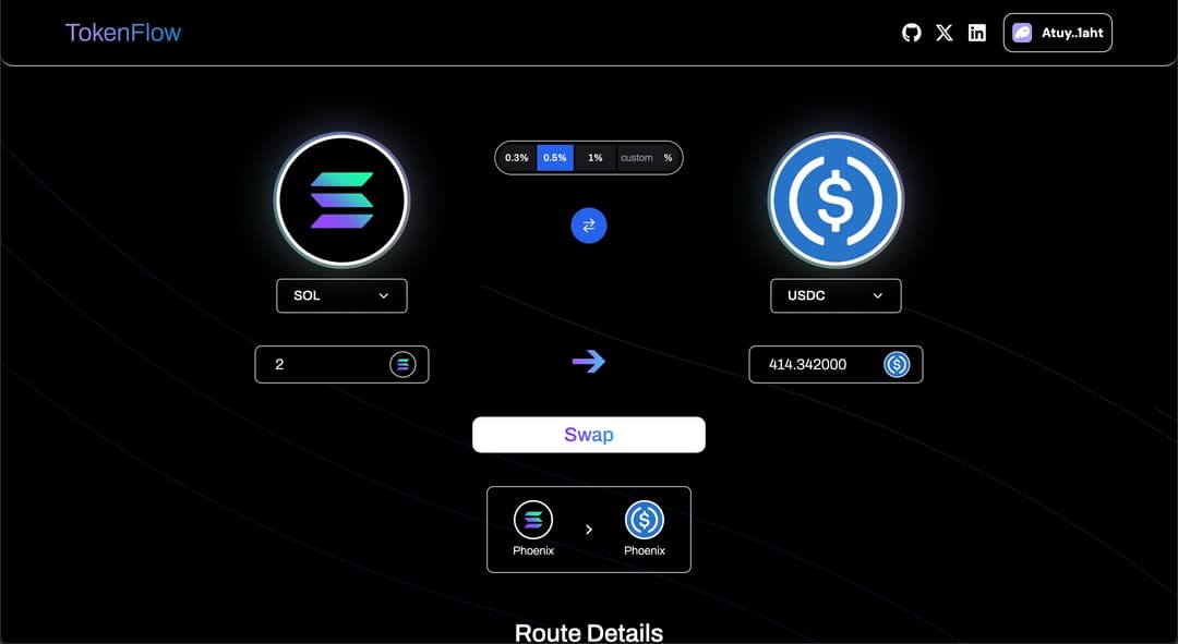 TokenFlow - Solana Token Swap Visualizer preview